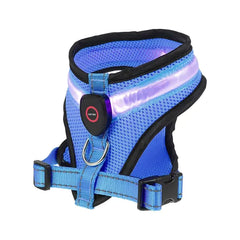 LED Light Dog Harness